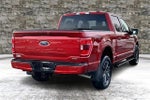 2023 F-150 Thumbnail 6