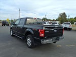 2015 F-150 Thumbnail 4