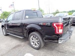 2017 F-150 Thumbnail 4