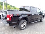 2017 F-150 Thumbnail 6
