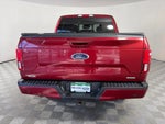 2018 F-150 Thumbnail 6