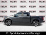 2019 F-150 Thumbnail 4