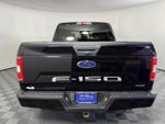 2019 F-150 Thumbnail 4