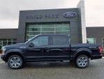 2019 F-150 Thumbnail 4