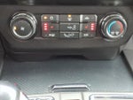 2019 F-150 Thumbnail 21