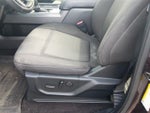 2019 F-150 Thumbnail 14