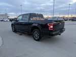 2019 F-150 Thumbnail 3