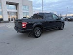 2019 F-150 Thumbnail 4