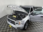 2019 F-150 Thumbnail 9