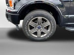 2020 F-150 Thumbnail 2