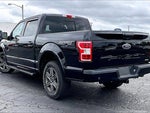 2020 F-150 Thumbnail 5