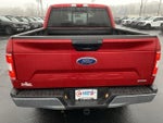 2020 F-150 Thumbnail 4