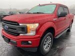 2020 F-150 Thumbnail 7