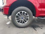 2020 F-150 Thumbnail 8