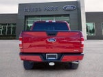 2020 F-150 Thumbnail 6