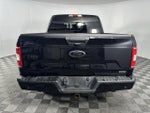 2020 F-150 Thumbnail 7