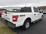 2020 F-150 Thumbnail 7