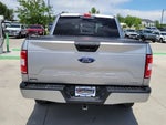 2020 F-150 Thumbnail 10