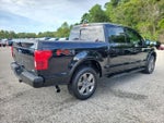 2020 F-150 Thumbnail 4