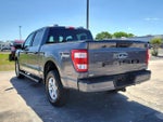 2021 F-150 Thumbnail 7