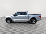 2021 F-150 Thumbnail 8