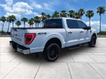 2021 F-150 Thumbnail 7