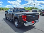 2021 F-150 Thumbnail 4