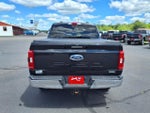2021 F-150 Thumbnail 5