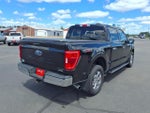 2021 F-150 Thumbnail 6