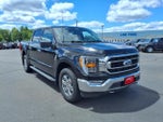 2021 F-150 Thumbnail 8