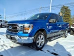 2021 F-150 Thumbnail 4
