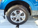 2021 F-150 Thumbnail 8