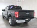 2021 F-150 Thumbnail 7