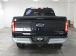 2021 F-150 Thumbnail 8
