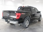 2021 F-150 Thumbnail 9