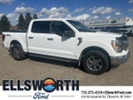 2021 F-150 Thumbnail 1