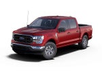 2021 F-150 Thumbnail 12