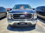 2021 F-150 Thumbnail 2