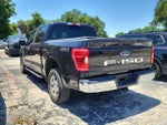 2021 F-150 Thumbnail 4