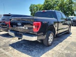 2021 F-150 Thumbnail 5