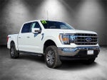 2021 F-150 Thumbnail 2