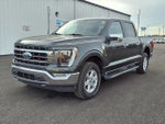 2021 F-150 Thumbnail 3