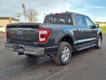 2021 F-150 Thumbnail 9