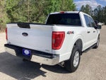 2021 F-150 Thumbnail 5