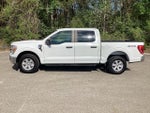 2021 F-150 Thumbnail 6