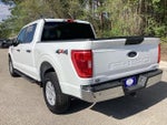 2021 F-150 Thumbnail 7