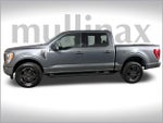 2022 F-150 Thumbnail 12