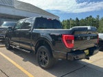 2022 F-150 Thumbnail 7