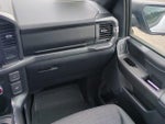 2022 F-150 Thumbnail 17