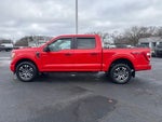 2022 F-150 Thumbnail 5